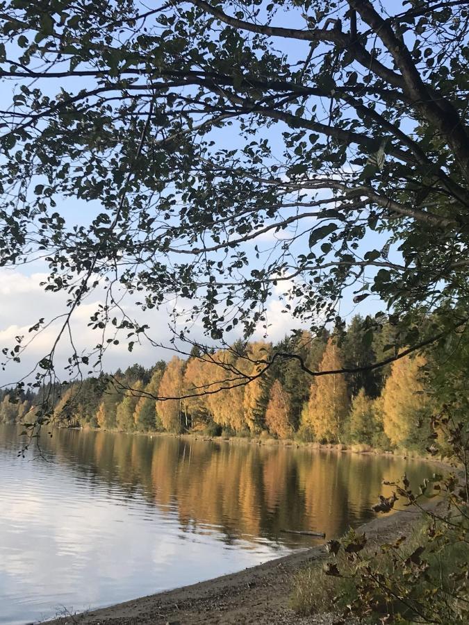 Dum Na Lipne Villa Lipno nad Vltavou Eksteriør bilde